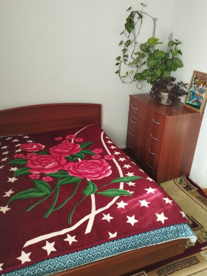 Guest House Sono Adress Derbisheva 202 Karakol Ngoại thất bức ảnh